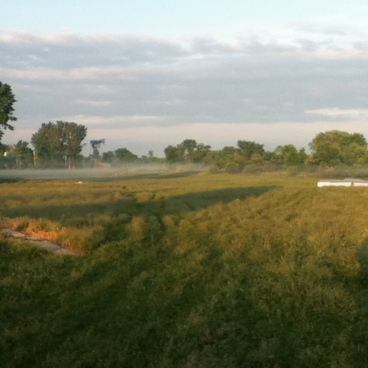 September 2025 CSA Share Newsletter