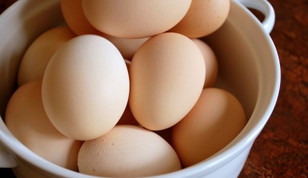 Brown Eggs - St. Lawrence County Delivery ONLY