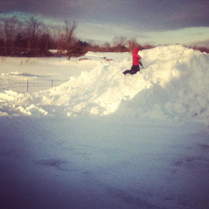 Cole's Snow Pile