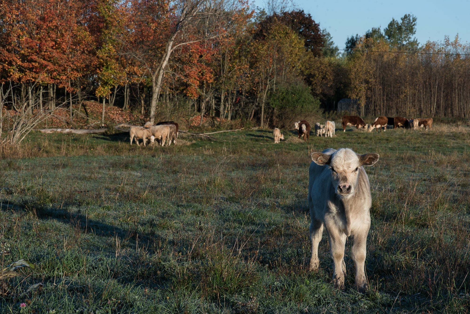 December 2025 CSA Newsletter