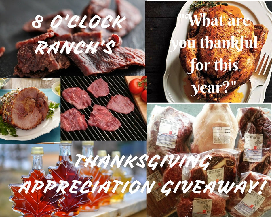 Our 1st Giveaway! Thanksgiving Appreciation