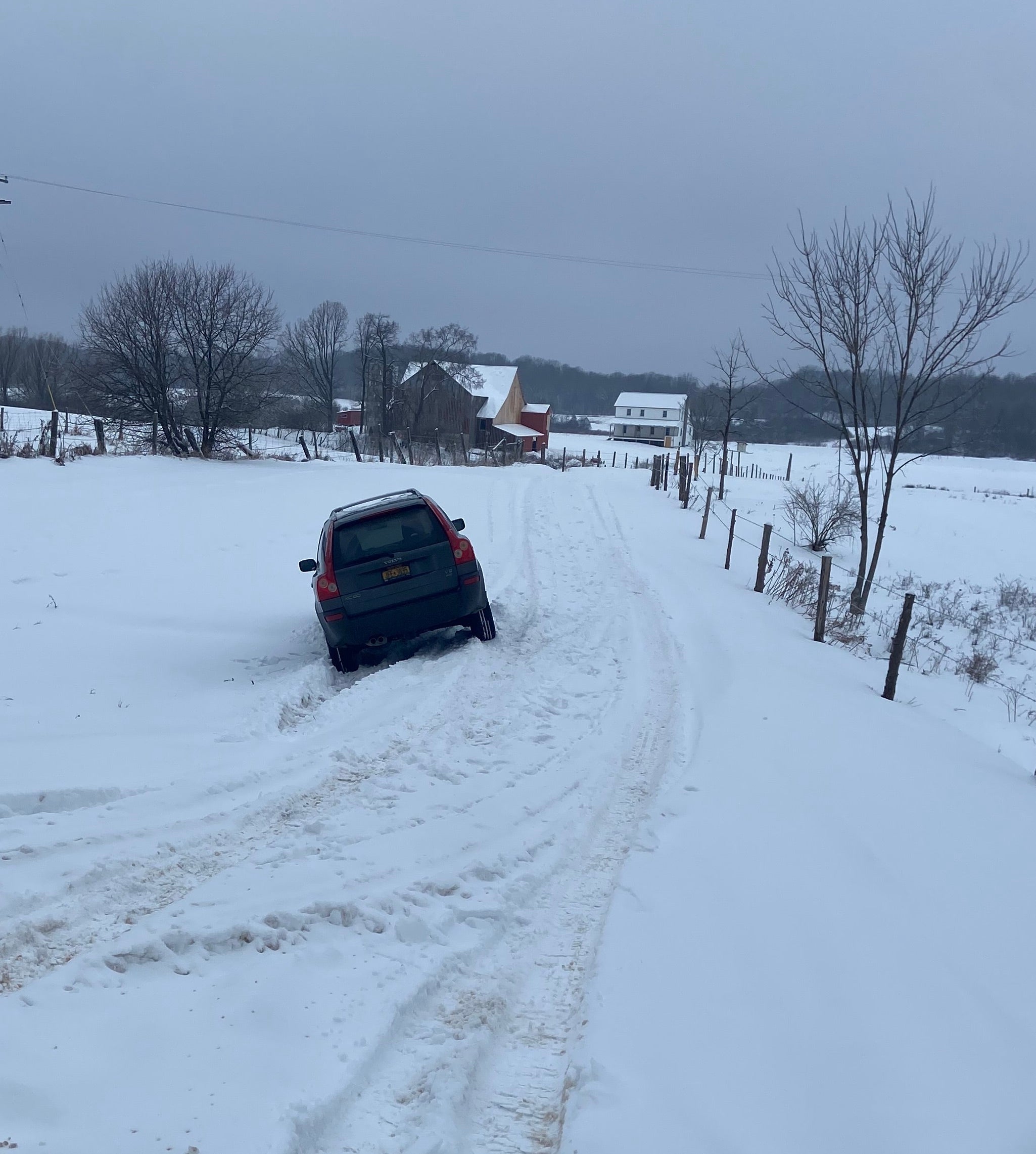 February 2026 CSA Newsletter