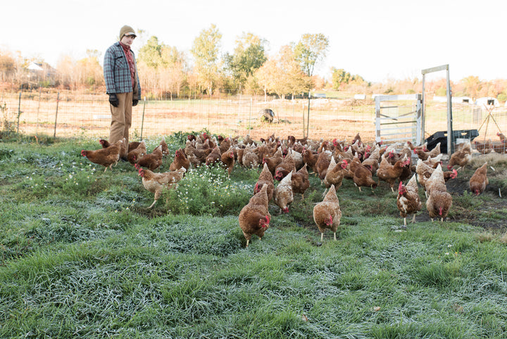 Pastured Chicken Legs & Thighs